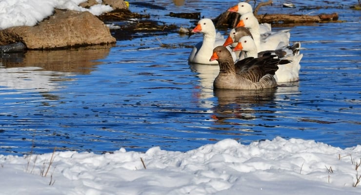 Meteoroloji: 13 ilde kar ve sağanak yağış bekleniyor