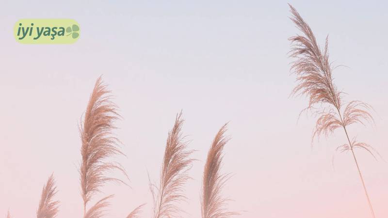 Hep duyarız ama beceremeyiz, umarız bu yazı öğretici olur: Diyafram nefesi nedir, faydası nedir, nasıl alınır?