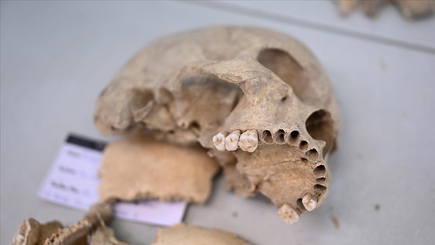 Diyarbakır Ergani’nin 12 bin yıl önceki sakinlerinin gen haritası çıkarılıyor