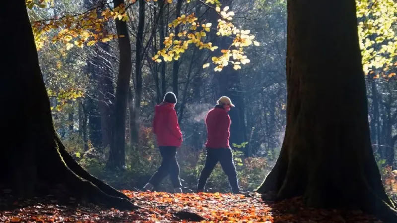 Pişman olmayacaksınız: Günde fazladan beş dakika egzersiz yapıp oturma süresini yarım saat kısaltın