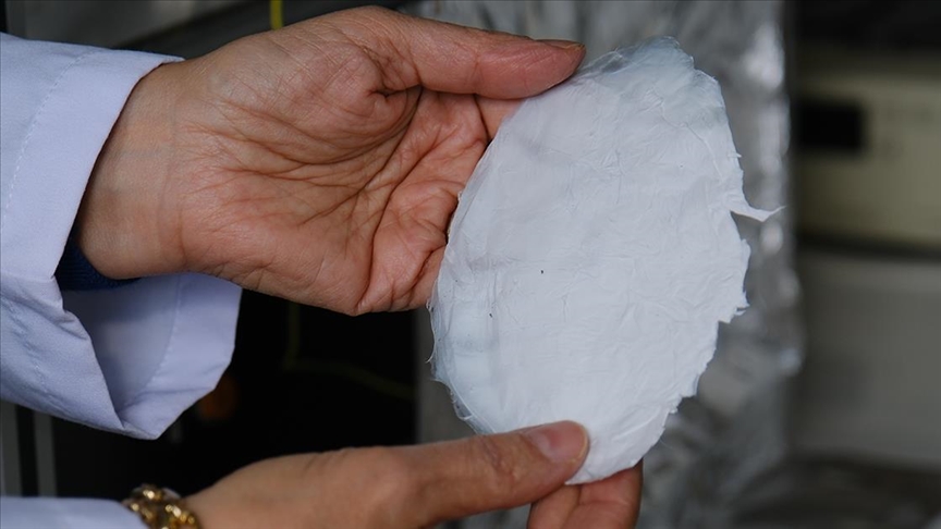 Çorum’da dört yıllık çalışmanın ürünü: Bitkisel ‘yara örtüsü’ geliştirildi