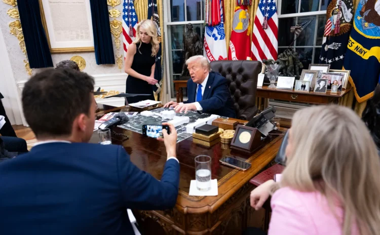 ‘Karanlık Orman’ nedir? Trump’ın hepimizi soktuğu yerdir