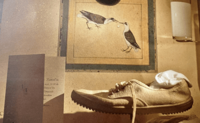 Şeylerin Tesellisi ve Kimlik Yerine Geçirilen Davranışlar