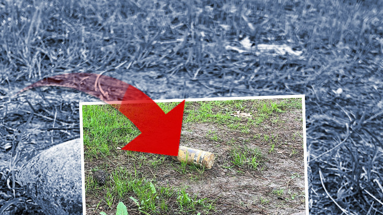 Piknikte bulup 10 gün evde sakladı, müzeye götürünce herkes kaçıştı