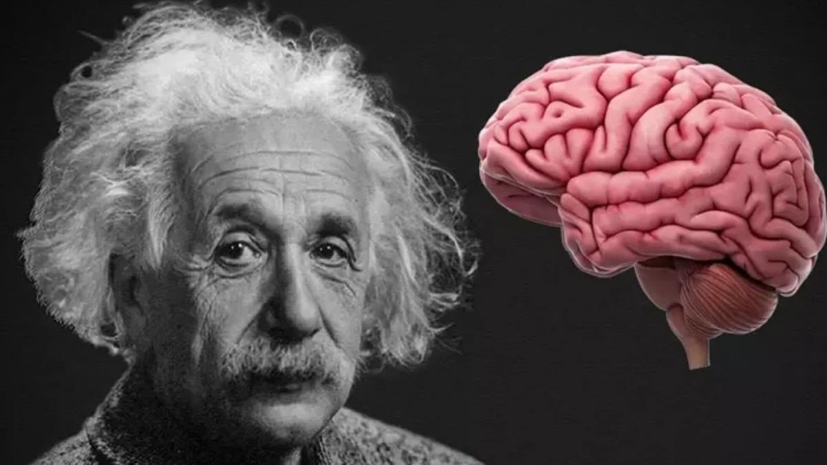 Bu 4 alışkanlık düşük zeka göstergesi