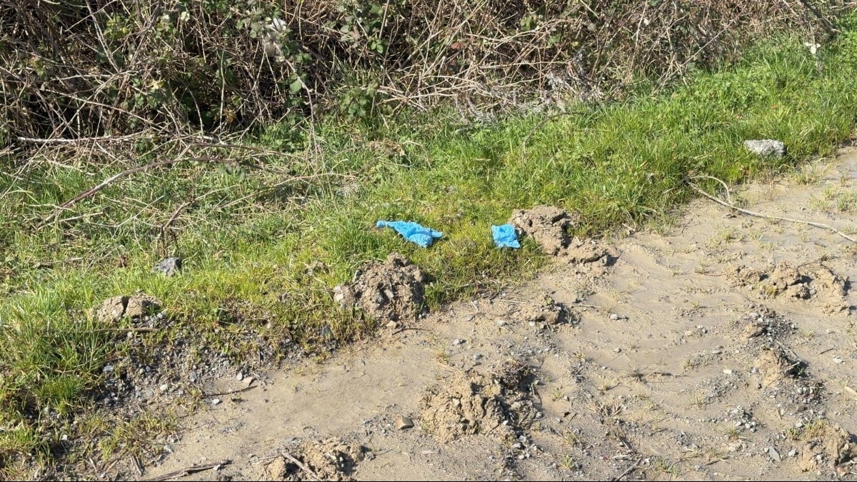 Kayıp Çinli iş insanı elleri ve ayakları bağlı, toprağa gömülü bulundu
