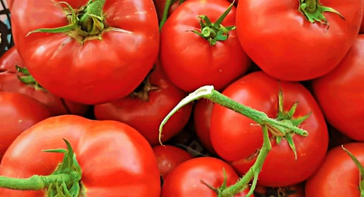 Taste Atlas’a göre en iyi 10 domates: Türkiye’den de var ama Çanakkale’deki değil