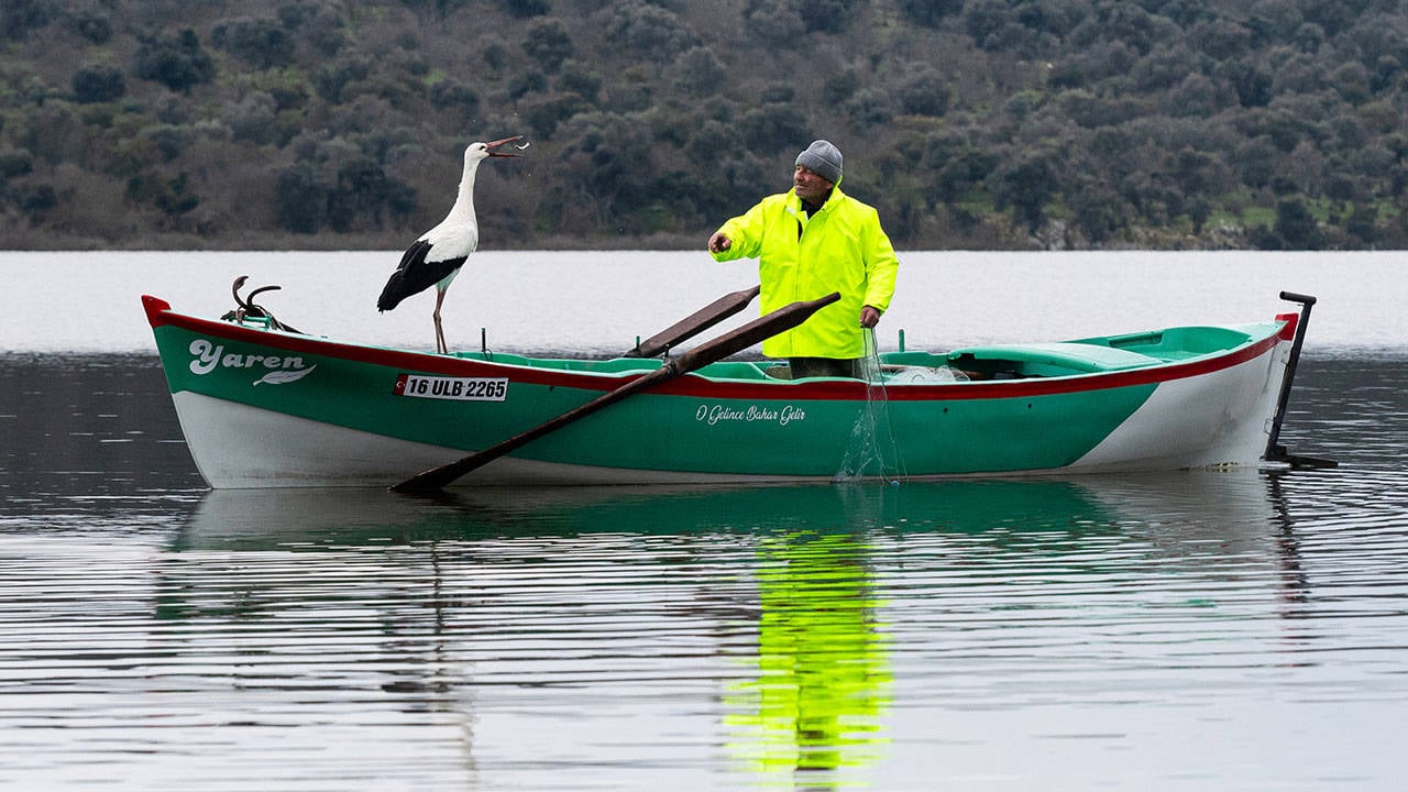 Türkiye’nin sevinç kaynağı: Yaren leylek 15. randevuya da geldi