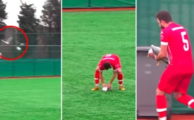 Martıya kalp masajı: Kaleci vurdu, 5 numara hayata döndürdü