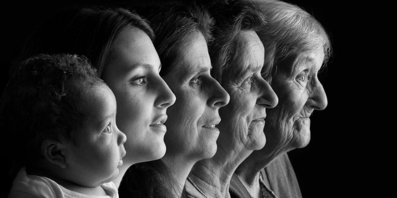 Yedi milyon hücre, 21 organ incelendi: Yaşlanmanın sırrı çözüldü