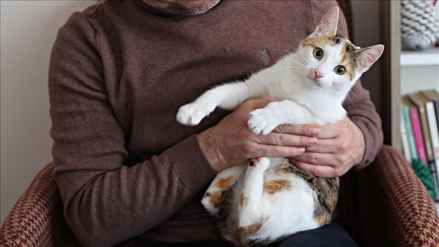 Evlerde içilen sigara evcil hayvanları da pasif içici yapıyor