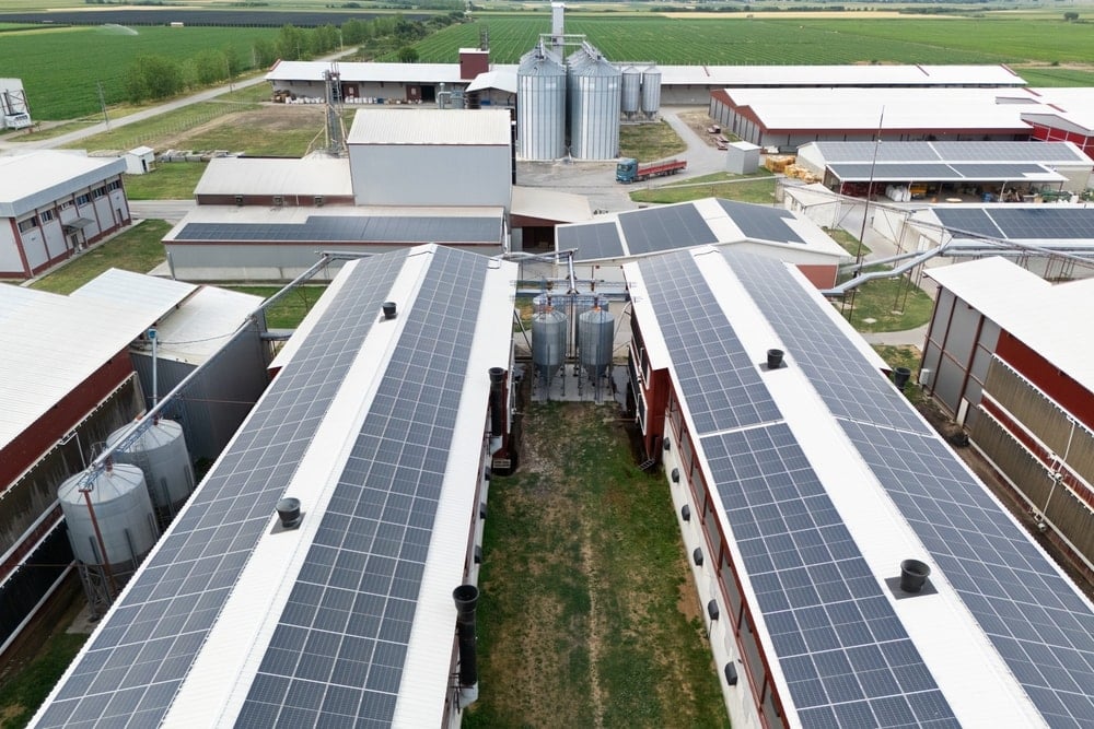 Ülkenin 1 numaralı enerji firmasına kayyım şoku: Yüzlerce çalışan iş arıyor