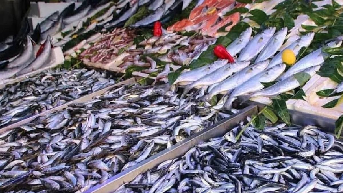 Burun kıvıranı çok ama en sağlıklı balık o