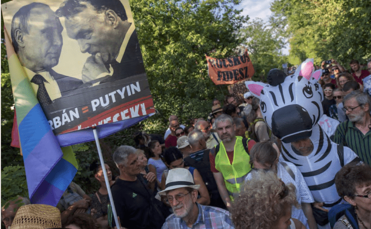 Macaristan’da Orban’ın kader seçiminde muhalefetin en önemli sembolü neden zebra?