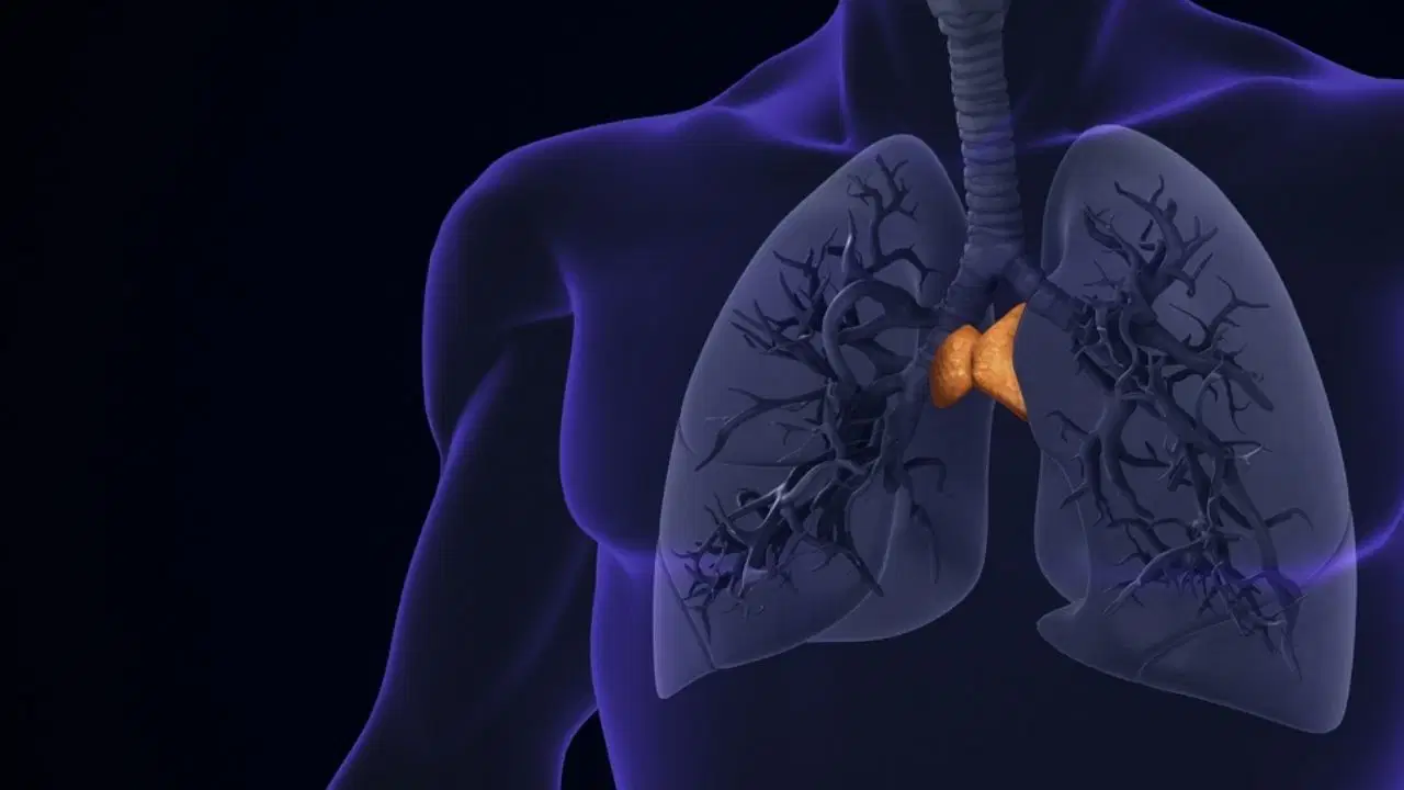 Yapay zeka yardımıyla büyük keşif: ‘Gereksiz’ denen organ uzun yaşamın anahtarı çıktı