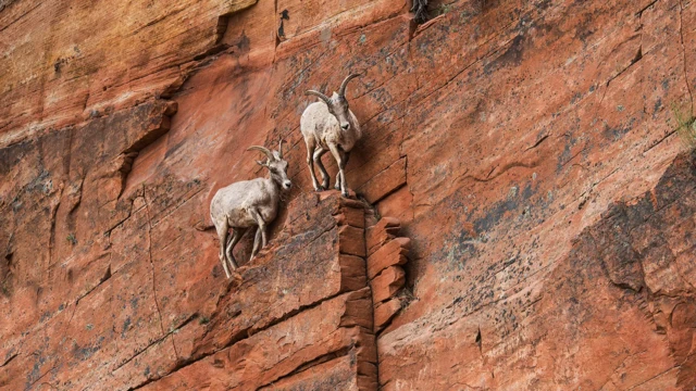 Kaygı nasıl azaltılır? Zor zamanlar için 9 etkili yöntem
