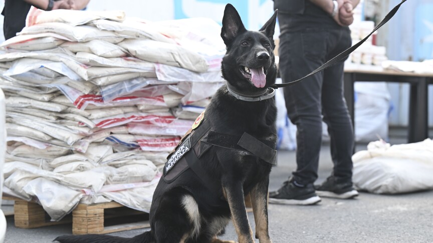 İki ayrı operasyonda 420 kg uyuşturucu ele geçirdi