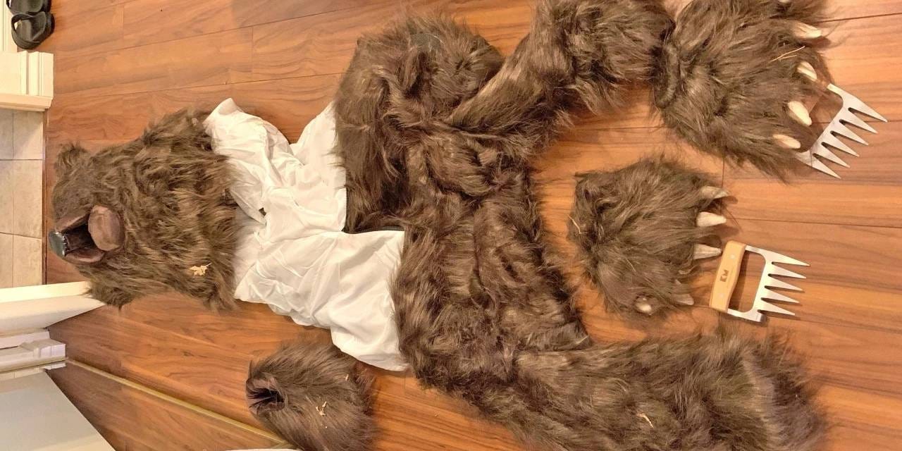 Ayı kostümüyle araçlara saldırdılar: Hasar tazminatı alacaklardı