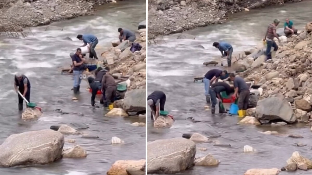 ‘Dereden altın çıkıyor’ iddiası ortalığı karıştırdı! Eline kazma kürek alan Salihli’ye koştu