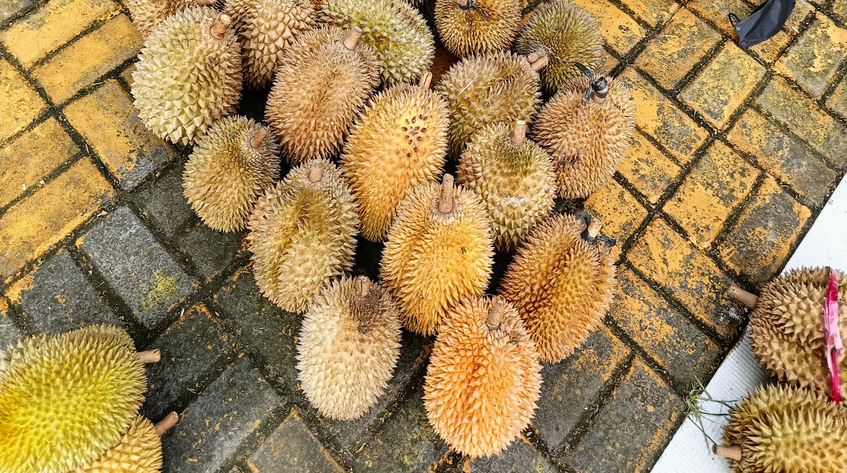 Dünyanın en pis kokulu ama en tatlı meyvesi: Durian