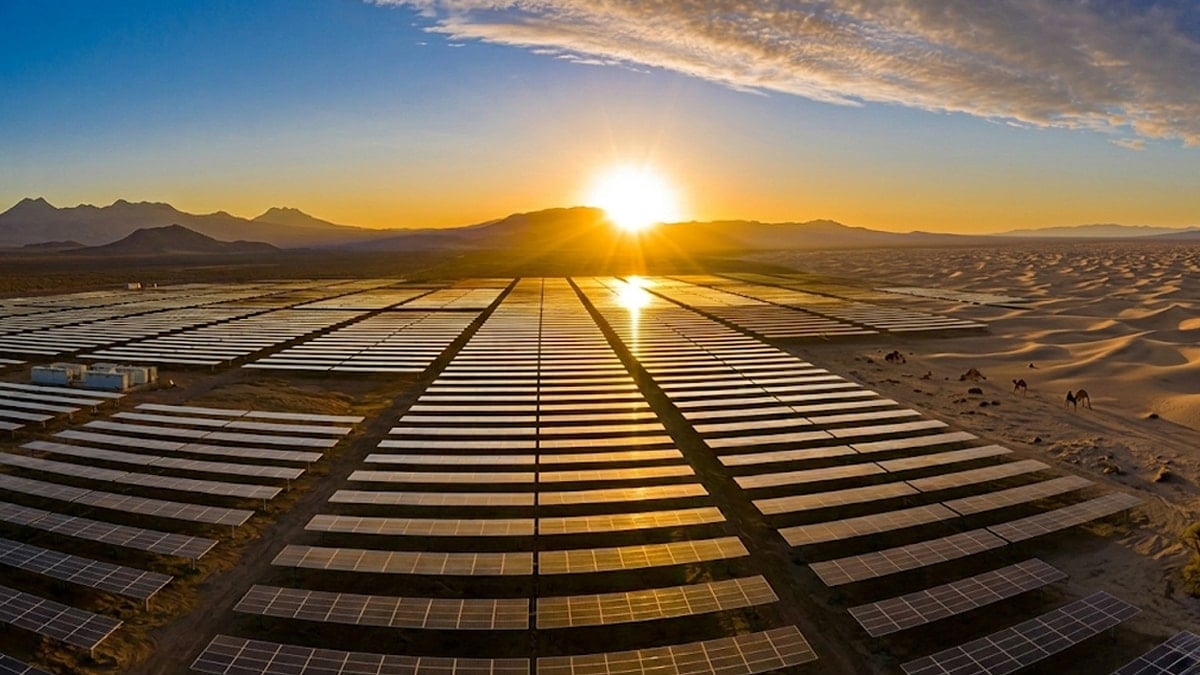 Çölün ortasında dev paneller var: Habire güneş topluyor ama yine de vaha gibi