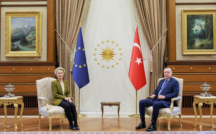 Avrupa için Türkiye: Ne kuş ne deve